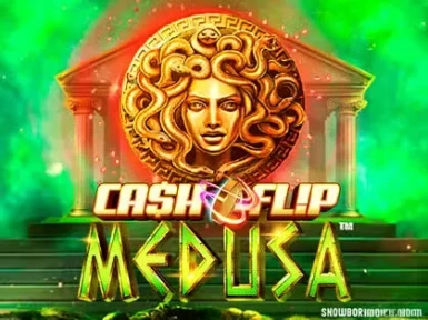 Coins Game Casino screenshot